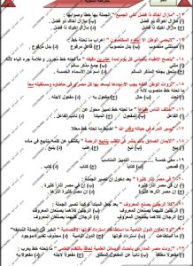 IMG 20260627 WA0058 النحو أكثر من 100 سؤال في النحو.. مراجعة نهائية بالحل من مستر أحمد أمين لطلاب الثانوية العامة موقع في الجامعة