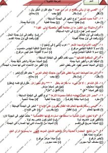 أكثر من 100 سؤال في النحو.. مراجعة نهائية من مستر أحمد أمين لطلاب الثانوية العامة