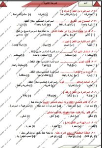 IMG 20260627 WA0075 النحو أكثر من 100 سؤال في النحو.. مراجعة نهائية بالحل من مستر أحمد أمين لطلاب الثانوية العامة موقع في الجامعة