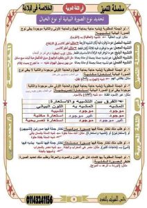 الخلاصة في البلاغة.. 4 صفحات مراجعة نهائية لطلاب الثانوية العامة قبل امتحان اللغة العربية