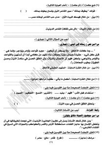 IMG 1187 اللغة العربية للشهادة الإعدادية 2026 راجع قبل اللجنة.. أقوى 27 سؤالًا متوقعًا في مراجعة اللغة العربية للشهادة الإعدادية 2026 موقع في الجامعة