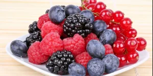 IMG 1651 9 أطعمة لا غنى عنها لطلاب الثانوية مش هتنسى حاجة تاني.. 9 أطعمة لا غنى عنها لطلاب الثانوية العامة 2026 موقع في الجامعة
