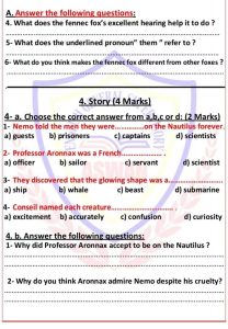 IMG 1703 اللغة الإنجليزية للإعدادية 2026 فرصتك للدرجة النهائية.. أقوى مراجعة نهائية في اللغة الإنجليزية للإعدادية 2026 موقع في الجامعة