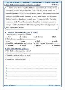 IMG 1721 1 امتحان الإنجليزي للإعدادية 2026 الحق راجع الآن.. مراجعة نهائية لن يخرج عنها امتحان الإنجليزي للإعدادية 2026 موقع في الجامعة