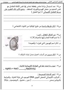 علوم الشهادة الإعدادية 2026.. أهم 32 سؤالًا متوقعًا في الامتحان 7 IMG 1764 علوم الشهادة الإعدادية 2026 علوم الشهادة الإعدادية 2026.. أهم 32 سؤالًا متوقعًا في الامتحان موقع في الجامعة