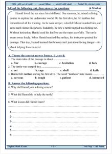 مراجعة ليلة الإمتحان.. نموذج استرشادي بنظام البوكليت للغة الإنجليزية لطلاب الإعدادية 2026 2 نموذج استرشادي بنظام البوكليت للغة الإنجليزية
