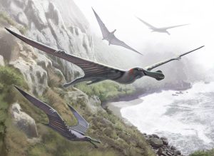 IMG 4086 وزير التعليم العالي وزير التعليم العالي يهنئ جامعة المنصورة بمناسبة اكتشاف علمي عالمي جديد في الحفريات الفقارية موقع في الجامعة