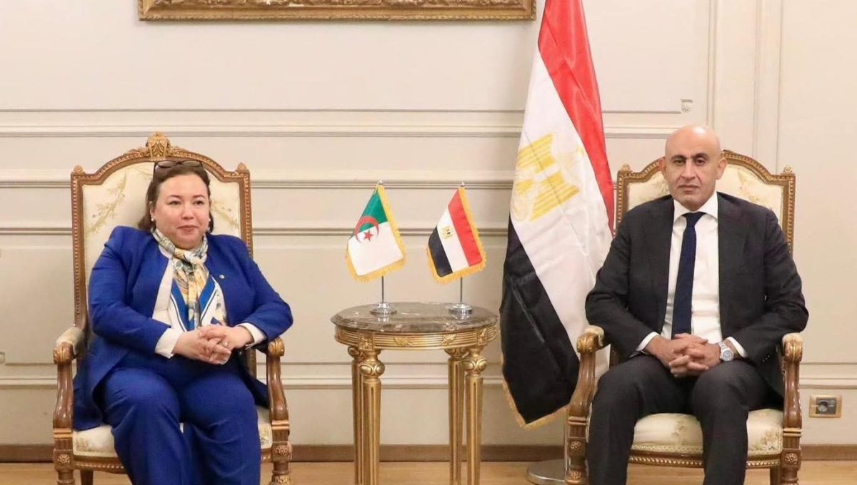 مصر والجزائر تبحثان توسيع التعاون في التعليم الفني