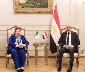 مصر والجزائر تبحثان توسيع التعاون في التعليم الفني