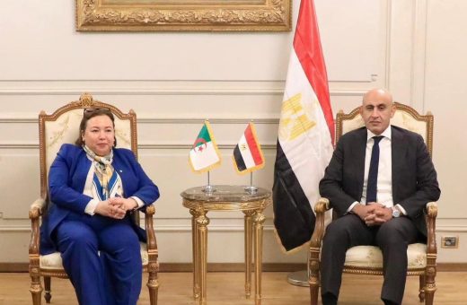 مصر والجزائر تبحثان توسيع التعاون في التعليم الفني