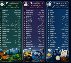 3 ورقات فقط تلخص منهج الإنجليزي للصف الثالث الإعدادي