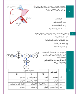 IMG ٢٠٢٦٠٦٠٨ ٢١٣١٠٢ امتحان الثانوية العامة 2026 راجع الأحياء في دقائق.. أقوى 30 سؤالًا بالإجابات المتوقعة قبل امتحان الثانوية العامة 2026 بأيام موقع في الجامعة