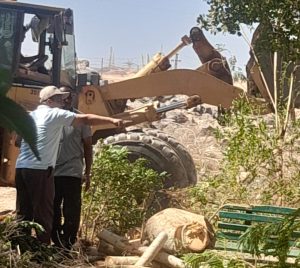 رئيس جامعة أسوان يشدد على تطوير البيئة الجامعية ومتابعة أعمال تنسيق المساحات الخضراء 3 IMG ٢٠٢٦٠٦٠٩ ٢٠٣٨٤٨ رئيس جامعة أسوان يشدد على تطوير البيئة الجامعية رئيس جامعة أسوان يشدد على تطوير البيئة الجامعية ومتابعة أعمال تنسيق المساحات الخضراء موقع في الجامعة