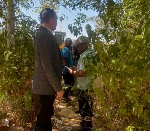 رئيس جامعة أسوان يشدد على تطوير البيئة الجامعية ومتابعة أعمال تنسيق المساحات الخضراء 4 IMG ٢٠٢٦٠٦٠٩ ٢٠٣٨٥٤ رئيس جامعة أسوان يشدد على تطوير البيئة الجامعية رئيس جامعة أسوان يشدد على تطوير البيئة الجامعية ومتابعة أعمال تنسيق المساحات الخضراء موقع في الجامعة