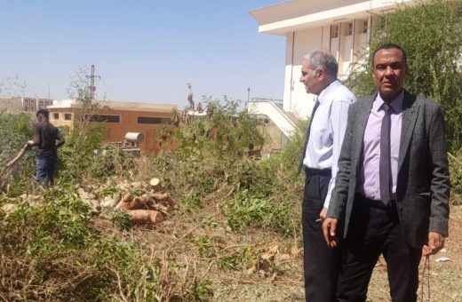 رئيس جامعة أسوان يشدد على تطوير البيئة الجامعية