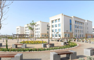 جامعة المنصورة الأهلية تعلن فتح التسجيل في مبادرة رواد مصر الرقمية