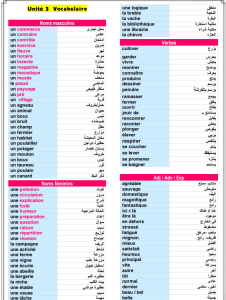 IMG ٢٠٢٦٠٦١١ ٢٠١٦٥٤ ملخص اللغة الفرنسية في 8 ورقات لطلاب الثانوية العامة قبل الامتحان بأيام.. ملخص اللغة الفرنسية في 8 ورقات لطلاب الثانوية العامة 2026 مراجعة نهائية مكثفة موقع في الجامعة