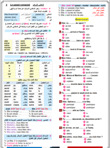 IMG ٢٠٢٦٠٦١١ ٢٠١٧٢٤ ملخص اللغة الفرنسية في 8 ورقات لطلاب الثانوية العامة قبل الامتحان بأيام.. ملخص اللغة الفرنسية في 8 ورقات لطلاب الثانوية العامة 2026 مراجعة نهائية مكثفة موقع في الجامعة