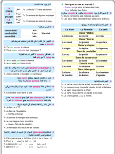 IMG ٢٠٢٦٠٦١١ ٢٠١٧٣٧ ملخص اللغة الفرنسية في 8 ورقات لطلاب الثانوية العامة قبل الامتحان بأيام.. ملخص اللغة الفرنسية في 8 ورقات لطلاب الثانوية العامة 2026 مراجعة نهائية مكثفة موقع في الجامعة