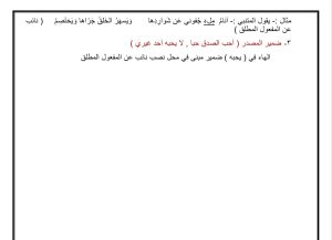 5 صفحات فقط.. مراجعة مركزة من مستر محمد الزمروني لطلاب الثانوية العامة في اللغة العربية