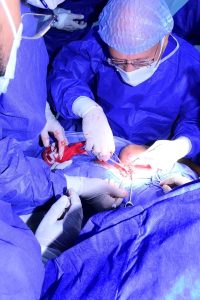 1784988888129 رئيس جامعة سوهاج يقود جراحة دقيقة تنجح رئيس جامعة سوهاج يقود جراحة دقيقة تنجح في إعادة توصيل أعصاب طفل مصاب بشلل كامل موقع في الجامعة