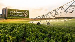 8 تخصصات جديدة في مدارس مستقبل مصر المصرية الإيطالية