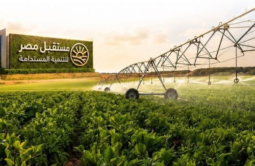 8 تخصصات جديدة في مدارس مستقبل مصر المصرية الإيطالية