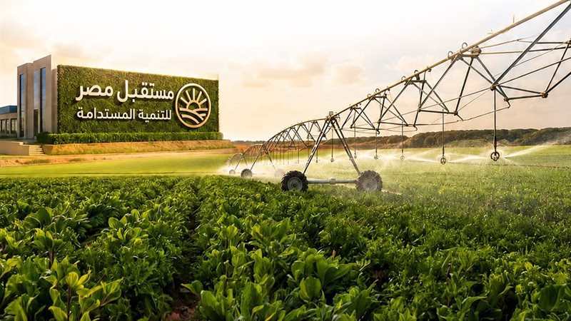 8 تخصصات جديدة في مدارس مستقبل مصر المصرية الإيطالية
