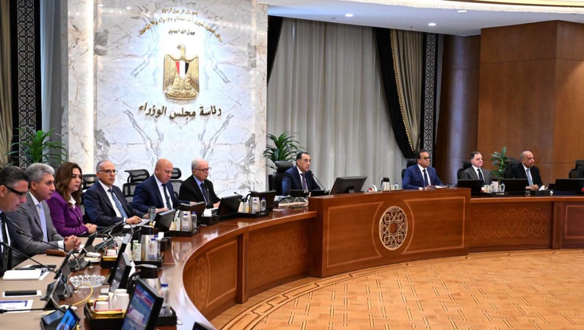 إضافة برامج جديدة بفرعي جامعتي سانت بطرسبرج وكازان الفيدرالية 