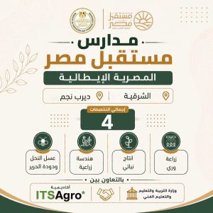 FB IMG 1783875301949 مدارس التكنولوجيا التطبيقية لطلاب الإعدادية.. تعرف على مدارس التكنولوجيا التطبيقية وشروط الالتحاق للعام الدراسي 2026 موقع في الجامعة