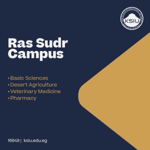 FB IMG 1784396517836 جامعة الملك سلمان الدولية تعلن تفاصيل التقديم اعرف كليات كل فرع.. جامعة الملك سلمان الدولية تعلن تفاصيل التقديم للعام الجامعي الجديد 2026/2027 موقع في الجامعة