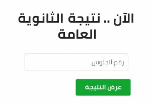نتيجة الثانوية العامة 2026 عبر أسرع رابط على موقع في الجامعة 