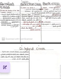 لطلاب الثانوية العامة 2026.. 4 صفحات تضم أهم نقاط الفيزياء