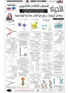 لا تفوتها.. مراجعة نهائية شاملة في الأحياء لطلاب الثانوية العامة 2026 بالإجابات 2 لا تفوتها.. مراجعة نهائية شاملة في الأحياء لطلاب الثانوية العامة 2026 بالإجابات