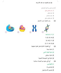 المراجعة الأخيرة في الأحياء.. أكثر من 20 سؤالًا استعدادًا لامتحان الثانوية العامة 6 المراجعة الأخيرة في الأحياء.. أكثر من 20 سؤالًا استعدادًا لامتحان الثانوية العامة