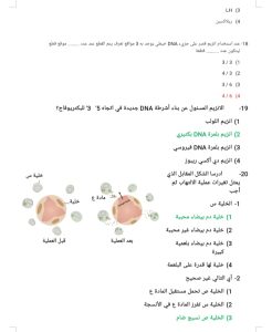 المراجعة الأخيرة في الأحياء.. أكثر من 20 سؤالًا استعدادًا لامتحان الثانوية العامة 4 IMG 20260712 WA0140 الأحياء المراجعة الأخيرة في الأحياء.. أكثر من 20 سؤالًا استعدادًا لامتحان الثانوية العامة موقع في الجامعة