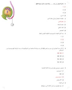 المراجعة الأخيرة في الأحياء.. أكثر من 20 سؤالًا استعدادًا لامتحان الثانوية العامة 3 المراجعة الأخيرة في الأحياء.. أكثر من 20 سؤالًا استعدادًا لامتحان الثانوية العامة