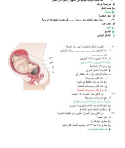 IMG 20260714 WA0005 مراجعة نهائية في الأحياء لطلاب الثانوية العامة لا تضيع الفرصة.. أقوى مراجعة نهائية في الأحياء لطلاب الثانوية العامة 2026 بالإجابات موقع في الجامعة
