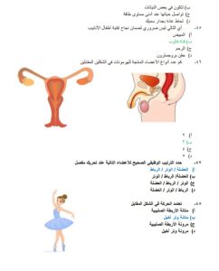 IMG 20260714 WA0006 مراجعة نهائية في الأحياء لطلاب الثانوية العامة لا تضيع الفرصة.. أقوى مراجعة نهائية في الأحياء لطلاب الثانوية العامة 2026 بالإجابات موقع في الجامعة