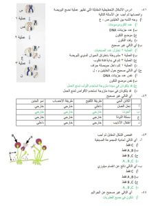 IMG 20260714 WA0009 1 مراجعة ليلة امتحان الأحياء 2026 مراجعة ليلة امتحان الأحياء 2026.. أهم الأسئلة والإجابات لطلاب الثانوية العامة موقع في الجامعة
