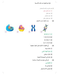 مراجعة نهائية في الأحياء للثانوية العامة 2026.. أهم الأسئلة المتوقعة بالحل قبل الامتحان