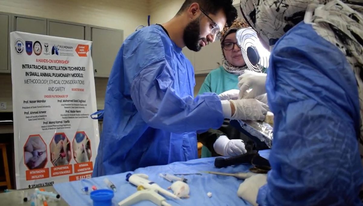 IMG 20260718 WA0035 جامعة قناة السويس تعزز البحث العلمي بورشة تطبيقية جامعة قناة السويس تعزز البحث العلمي بورشة تطبيقية عن تقنيات التقطير داخل القصبة الهوائية موقع في الجامعة