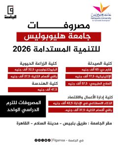 تبدأ من 27 ألف جنيه... تفاصيل مصروفات جامعة هليوبوليس أول جامعة متخصصة في التنمية المستدامة 4 مصروفات جامعة هليوبوليس للتنمية المستدامة 2026