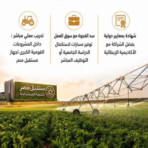 مدارس مستقبل مصر