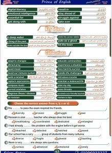 IMG 4623 مراجعة شاملة للإنجليزي 2026 مراجعة شاملة للإنجليزي 2026.. أهم المفردات وأسئلة الـ MCQ المتوقعة موقع في الجامعة
