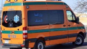 نقل 8 طلاب للمستشفيات بعد تعرضهم للإغماء داخل لجان الثانوية العامة بالقليوبية 2 نقل 8 طلاب للمستشفيات