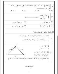 IMG 5582 الرياضيات البحتة للثانوية العامة 2026 الخلاصة في الرياضيات البحتة للثانوية العامة 2026.. 20 سؤالًا بالإجابات موقع في الجامعة