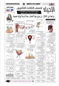 أهم مراجعة للتكاثر في الأحياء 2026.. 68 سؤالًا بالإجابات النموذجية 2 مراجعة للتكاثر في الأحياء 2026