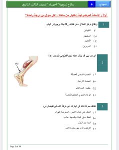 الأحياء