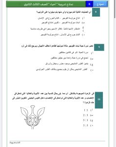 قبل امتحان الأحياء غدًا.. 20 سؤالًا بالإجابات تراجع بهم المنهج في دقائق 4 IMG 5928 امتحان الأحياء غدًا قبل امتحان الأحياء غدًا.. 20 سؤالًا بالإجابات تراجع بهم المنهج في دقائق موقع في الجامعة